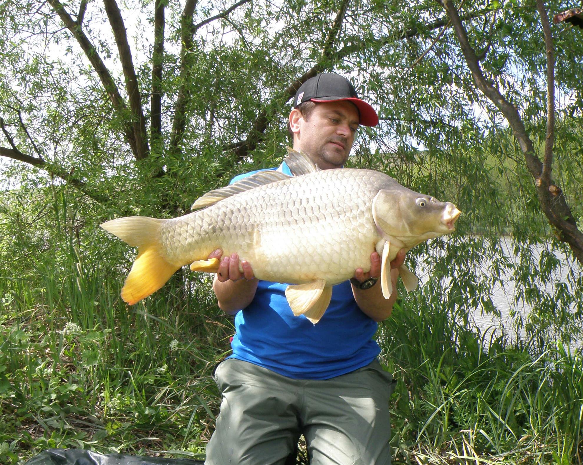 Magura 9 15 - 16 aprilie 2016 - 029-1.jpg